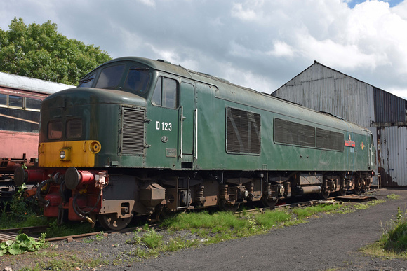 D123 stabled at Loughborough on Saturday 24 June 2017