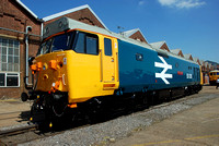 50026 at Eastleigh Works on Sunday 24 May 2009