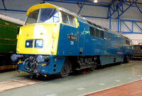 D1023 at National Railway Museum York on Saturday 18 January 2014