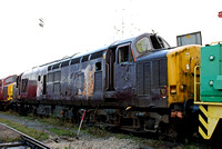37428 at CF Booth Rotherham on Saturday 1 December 2012