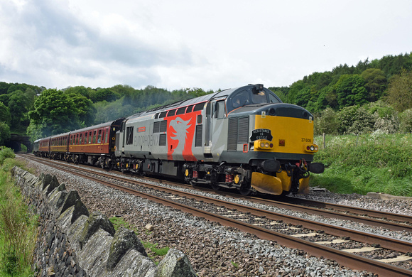 37608 tnt 31452 1Z27 1028 Derby - Barrow Hill Charter at Chevin, Milford on Saturday 20 May 2017