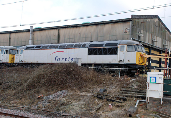 56105 at Crewe Diesel on Saturday 29 January 2011