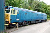 50042 at Buckfastleigh on Saturday 30 August 2014