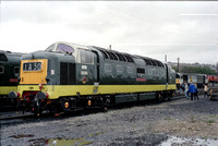 D9000 at Barry on Sunday 19 Augusat 1990
