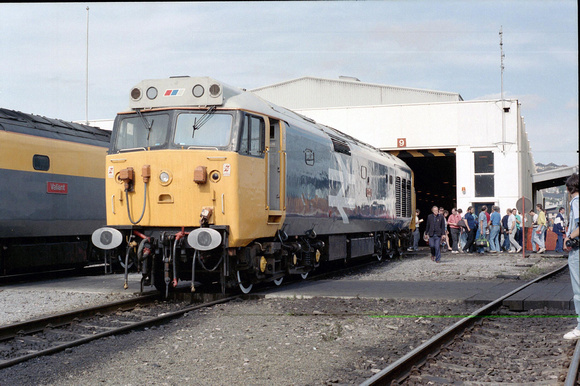 50031 at Laira on Sunday 15 September 1991