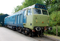 South Devon Railway - 30 August 2014