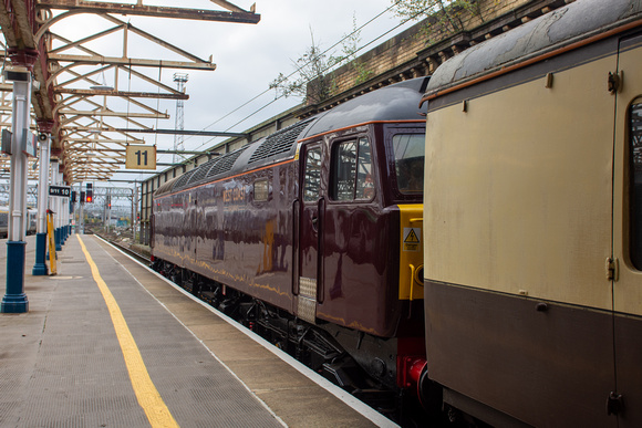 57010 on rear 1Z40 0701 Burton - Newcastle Charter at Crewe on Saturday 12 November 2022