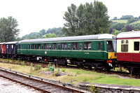 55000 at Buckfastleigh on Sunday 23 June 2019