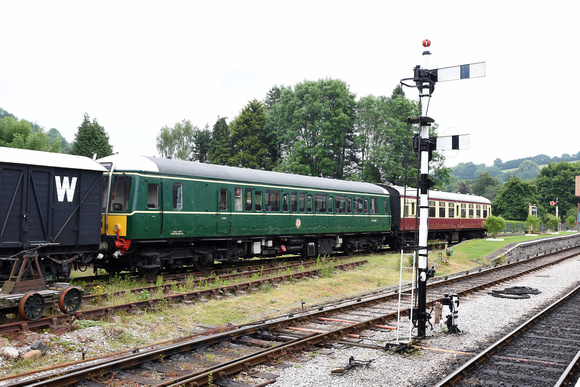 55000 at Buckfastleigh on Sunday 23 June 2019