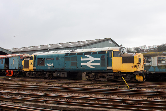 37025 at Bo'ness on Friday 8 March 2024