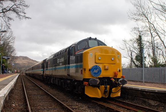 37409 tnt D6851 1Z37 0852 Fort William - Mallaig Charter at Arisaig on Monday 8 April  2024