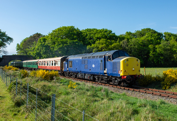 37067 1C17 1732 River Frome - Corfe Castle at Holme Lane, Worgret on Sunday 8 May 2022