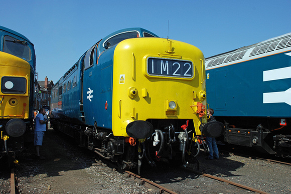 55022 at Eastleigh Works on Sunday 24 May 2009