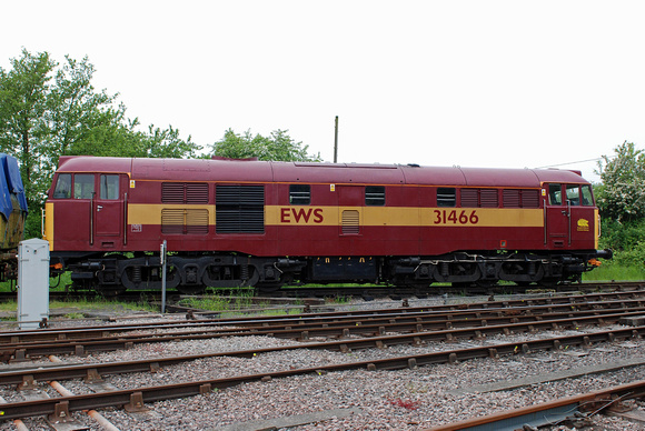 31466 at Lydney on Thursday 6 June 2013