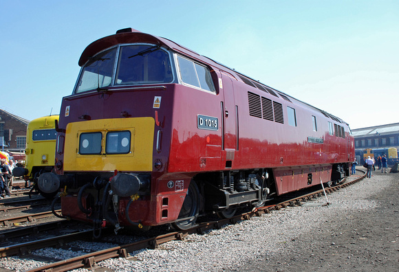 D1015 at Eastleigh Works on Sunday 24 May 2009
